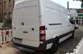 Mercedes-Benz Sprinter II Kasten 216 CDI Blue Tec Klima AHK Blanc - thumbnail 2