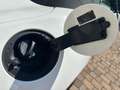 Jaguar F-Type 3.0 V6 380 CV aut. AWD Convertibile R-Dynamic Blanc - thumbnail 42