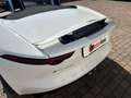 Jaguar F-Type 3.0 V6 380 CV aut. AWD Convertibile R-Dynamic Blanc - thumbnail 48