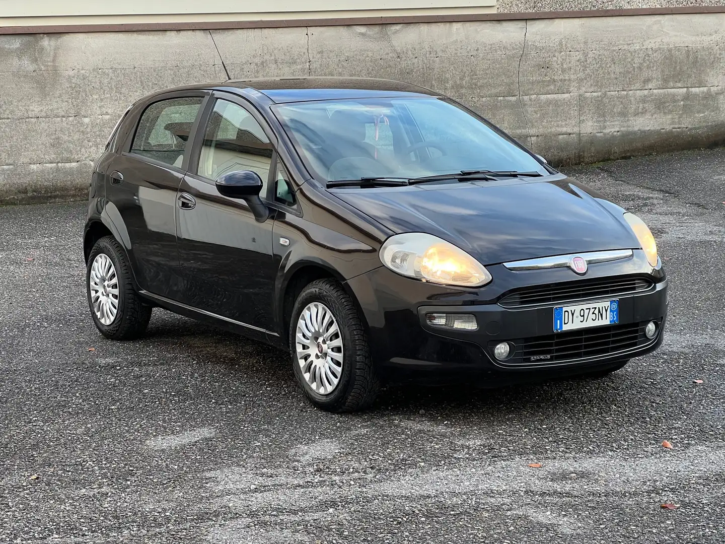 Fiat Punto Evo Punto Evo 5p 1.4 natural power Dynamic 70cv Коричневий - 1