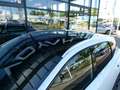 Nissan Qashqai 1,3 DIG-T MHEV*Tekna+*4WD*Bose*Pano Weiß - thumbnail 6