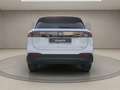 Volkswagen Tiguan 1.5 eTSI DSG Life+Pano+Anhängerkupplung Weiß - thumbnail 4
