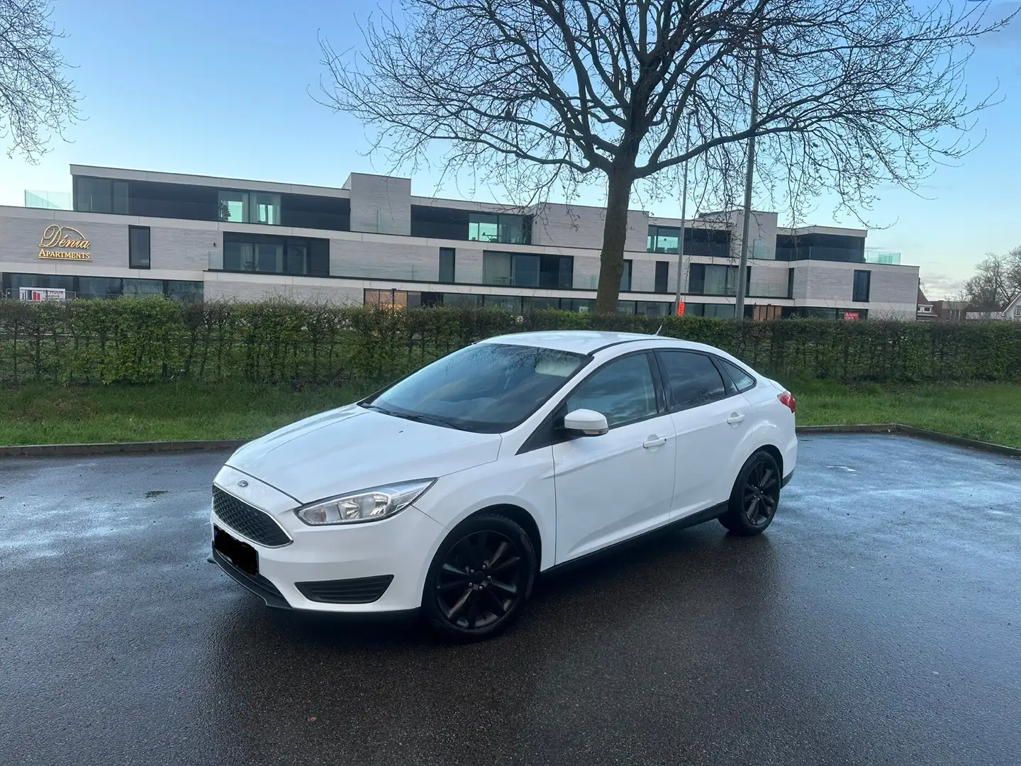 Ford Focus 1.6 Ti-VCT Trend Blanc - 1