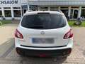 Nissan Qashqai Qashqai 2.0 I-Way Alb - thumbnail 2
