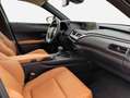 Lexus UX 250h 250h Executive Line Negro - thumbnail 10