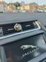 Jaguar E-Pace 2.0d i4 SE awd 150cv gancio traino Noir - thumbnail 9