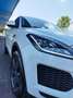 Jaguar E-Pace 2.0d i4 SE awd 150cv gancio traino Noir - thumbnail 17
