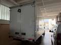 Ford Transit CABINATO * BOXATO * FURGONATO * CENTINATO * Blanco - thumbnail 3