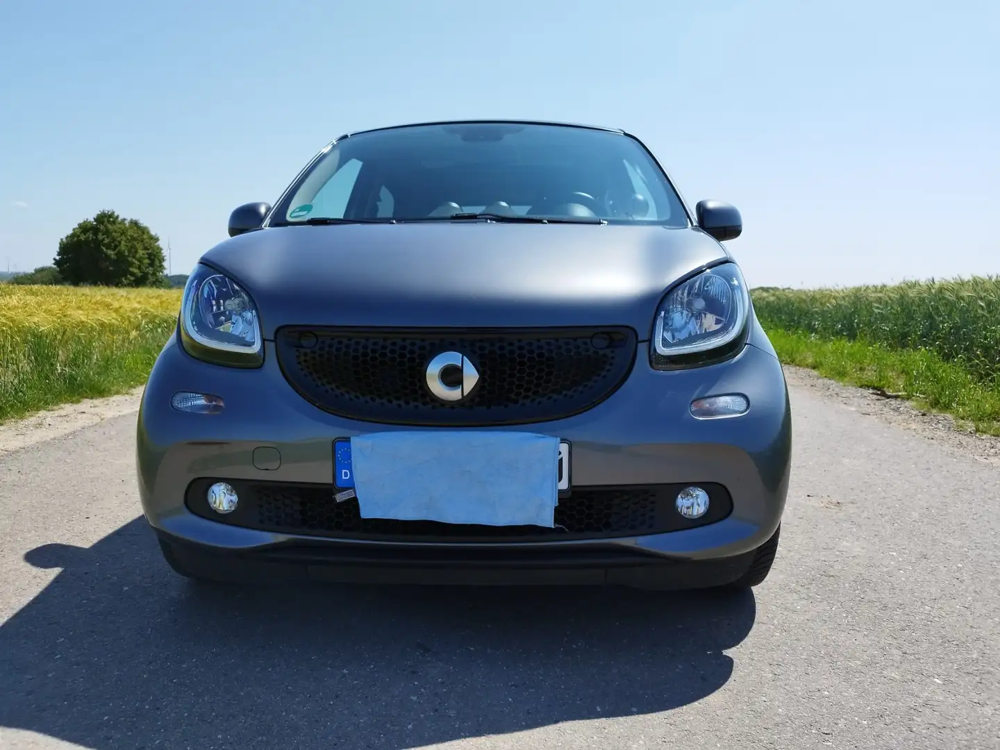 smart forFour smart forfour twinamic prime Grau - 1