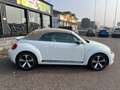 Volkswagen Maggiolino 2.0 TDI 150CV DSG Sport BMT STUPENDA Weiß - thumbnail 37