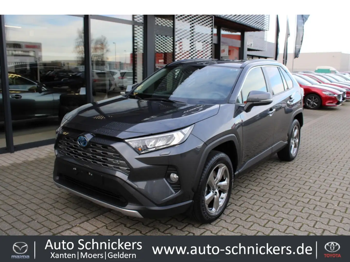 Toyota RAV 4 Hybrid 4x4 Team Deutschland+GJ-RÄDER !! Gris - 1