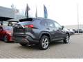 Toyota RAV 4 Hybrid 4x4 Team Deutschland+GJ-RÄDER !! Gris - thumbnail 3