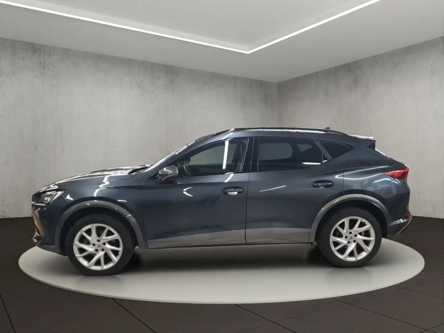 CUPRA Formentor 2.0 TDI 4Drive Gris - 2