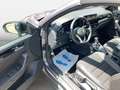 Volkswagen T-Roc Cabrio R-Line BlackStyle 1.5 TSI DSG AHK Grau - thumbnail 8