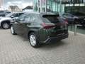 Lexus UX 250h HYBRID +LEDER +Zetelverwarming +Dodehoek +GPS Vert - thumbnail 5