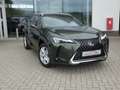 Lexus UX 250h HYBRID +LEDER +Zetelverwarming +Dodehoek +GPS Vert - thumbnail 26