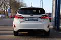 Ford Fiesta 1.0 EcoBoost Hybrid Titanium+WINTERPAK Weiß - thumbnail 5