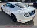 Ford Mustang 5.0 GT BLACK SHADOW EDITION*PERFORMANCE Weiß - thumbnail 11