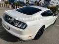 Ford Mustang 5.0 GT BLACK SHADOW EDITION*PERFORMANCE Weiß - thumbnail 13