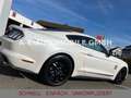 Ford Mustang 5.0 GT BLACK SHADOW EDITION*PERFORMANCE Weiß - thumbnail 14