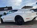 Ford Mustang 5.0 GT BLACK SHADOW EDITION*PERFORMANCE Weiß - thumbnail 10