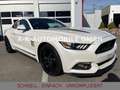 Ford Mustang 5.0 GT BLACK SHADOW EDITION*PERFORMANCE Weiß - thumbnail 6