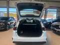 Kia Ceed SW / cee'd SW Ceed SW 1.5T 48V Ultimate Edition Blanc - thumbnail 13