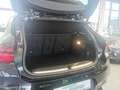 BMW X2 xDrive20d M Sport AHK/NAVI/LED adapt. Schwarz - thumbnail 22