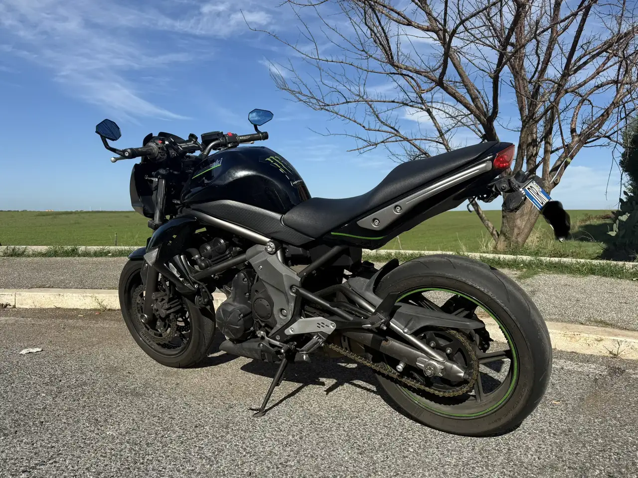 Kawasaki ER