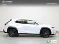 Lexus UX 250h Premium 2WD Blanc - thumbnail 17