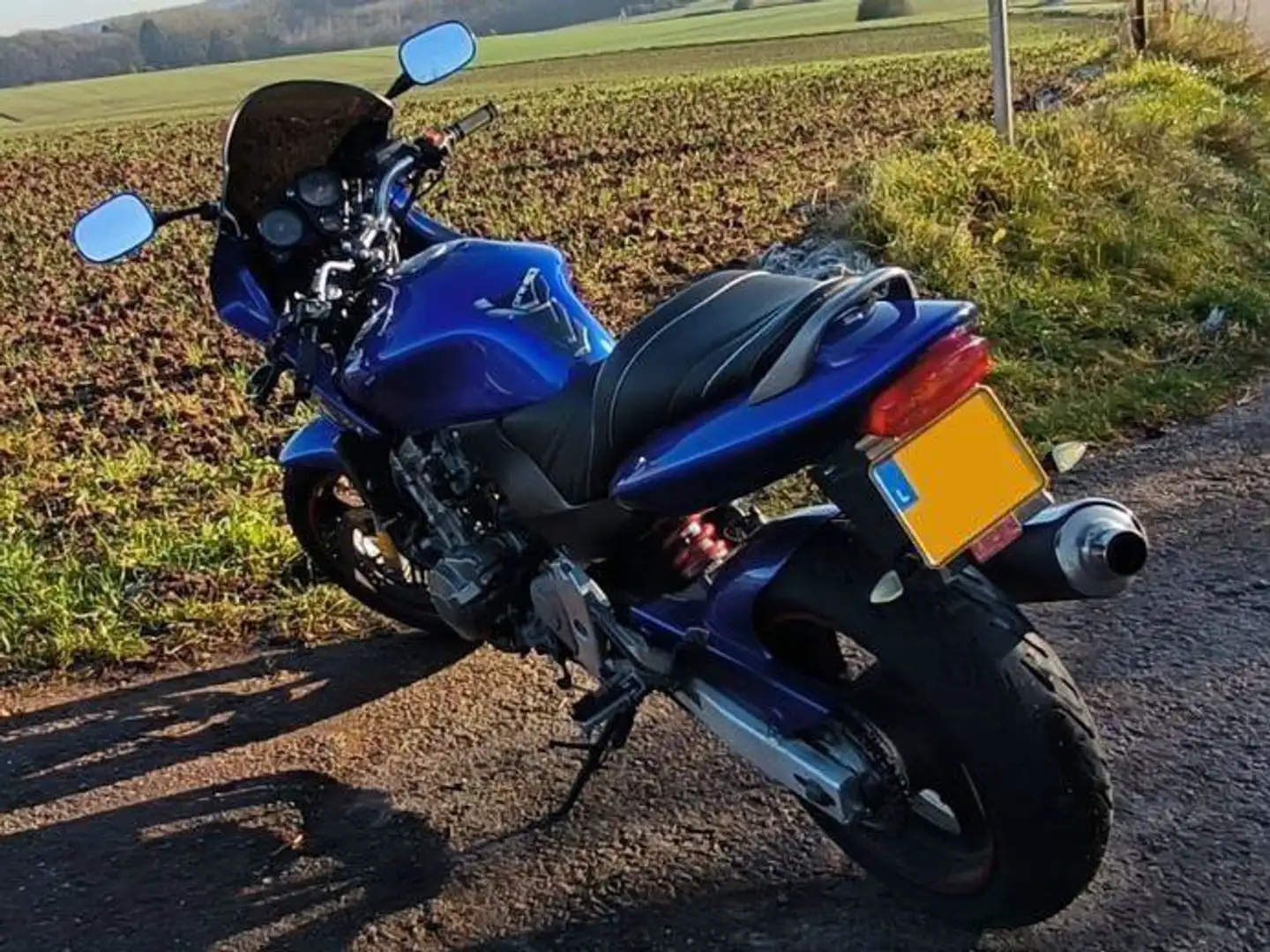 Honda Hornet Honda CB600F Hornet 2001 Modrá - 2
