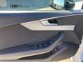 Audi A5 A5 SPB 40 TDI 190 CV  S tronic S-LNE BLACK PAKET Bianco - thumbnail 13