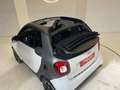 smart forTwo Cabrio 0.9 t Passion 90cv twinamic Blanc - thumbnail 6
