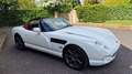 TVR Chimaera Biały - thumbnail 1