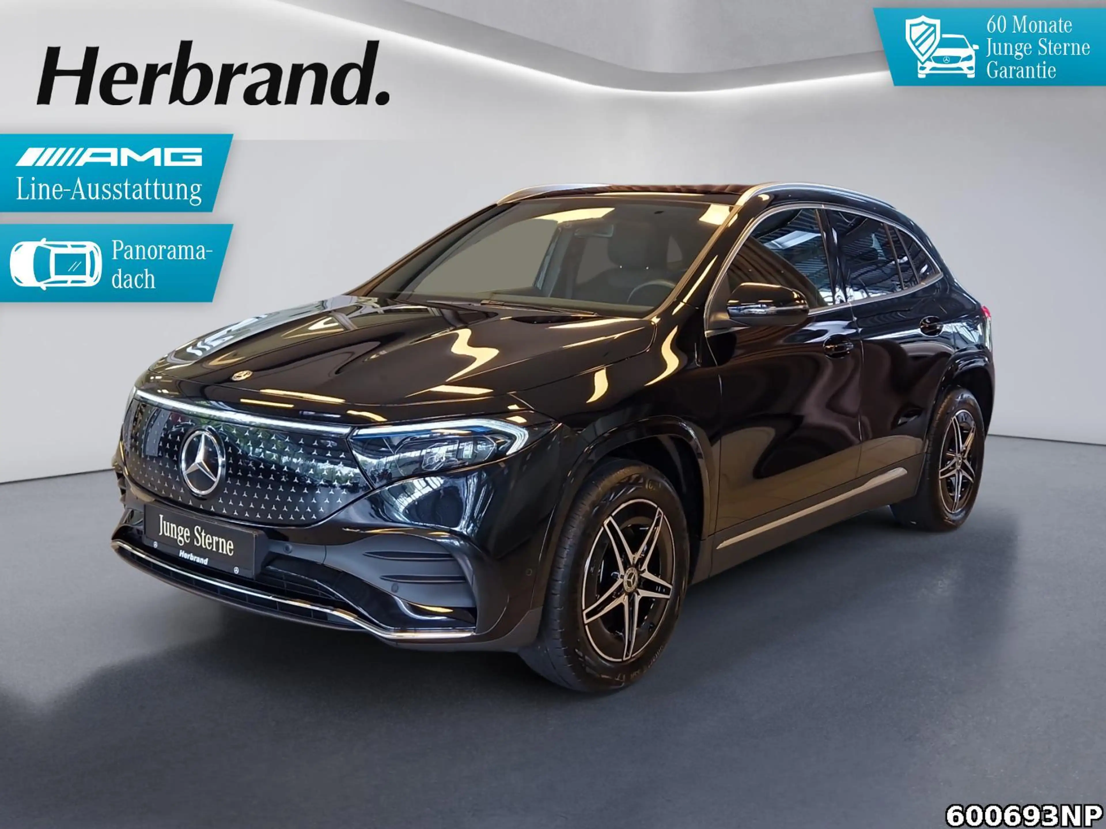 Mercedes-Benz EQA 350 AMG Line Panorama LED Kamera Totwinkel