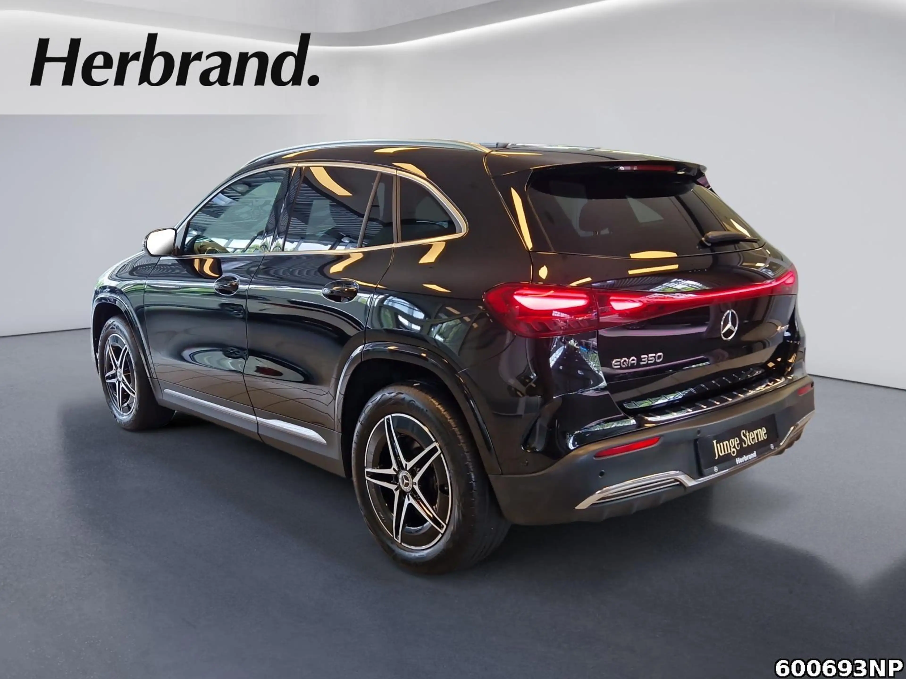 Mercedes-Benz EQA 350 AMG Line Panorama LED Kamera Totwinkel — photo 4