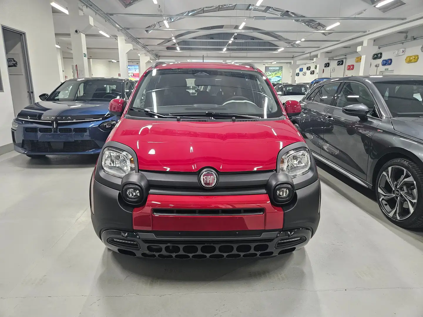 Fiat Panda 1.0 hybrid 70cv Pandina Cross ADAS Rosso - 2