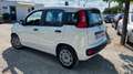 Fiat Panda 1.2 Easy s&s 69cv my19 Blanc - thumbnail 4