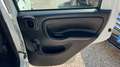 Fiat Panda 1.2 Easy s&s 69cv my19 Bianco - thumbnail 12