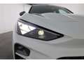 CUPRA Terramar 1.5 DSG eHybrid VZ HUD/AHK/Matrix/360° Weiß - thumbnail 28