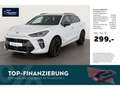 CUPRA Terramar 1.5 DSG eHybrid VZ HUD/AHK/Matrix/360° Weiß - thumbnail 1