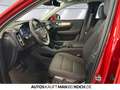 Volvo XC40 T4 Recharge Inscription Expression ACC PANO Rouge - thumbnail 6