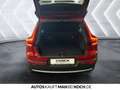 Volvo XC40 T4 Recharge Inscription Expression ACC PANO Rouge - thumbnail 14