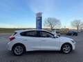 Ford Focus 1.0 EB TREND EDITION BUSINESS NAVI AIRCO PDC Blanc - thumbnail 10