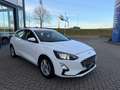 Ford Focus 1.0 EB TREND EDITION BUSINESS NAVI AIRCO PDC Blanc - thumbnail 21