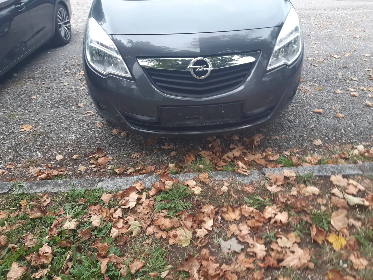 Opel Meriva Meriva 1,3 CDTI ecoFlex Edition DPF Edition Grau - 1