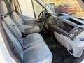 Ford Transit 350 96kW L4 Ambiente Propulsión Trasera Blanco - thumbnail 49