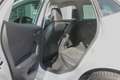 SEAT Ibiza Ibiza 1.0 tgi FR 90cv Bílá - thumbnail 18