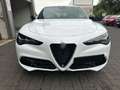 Alfa Romeo Stelvio 2.0 Turbo 280 CV AT8 Q4 Veloce Bianco - thumbnail 5