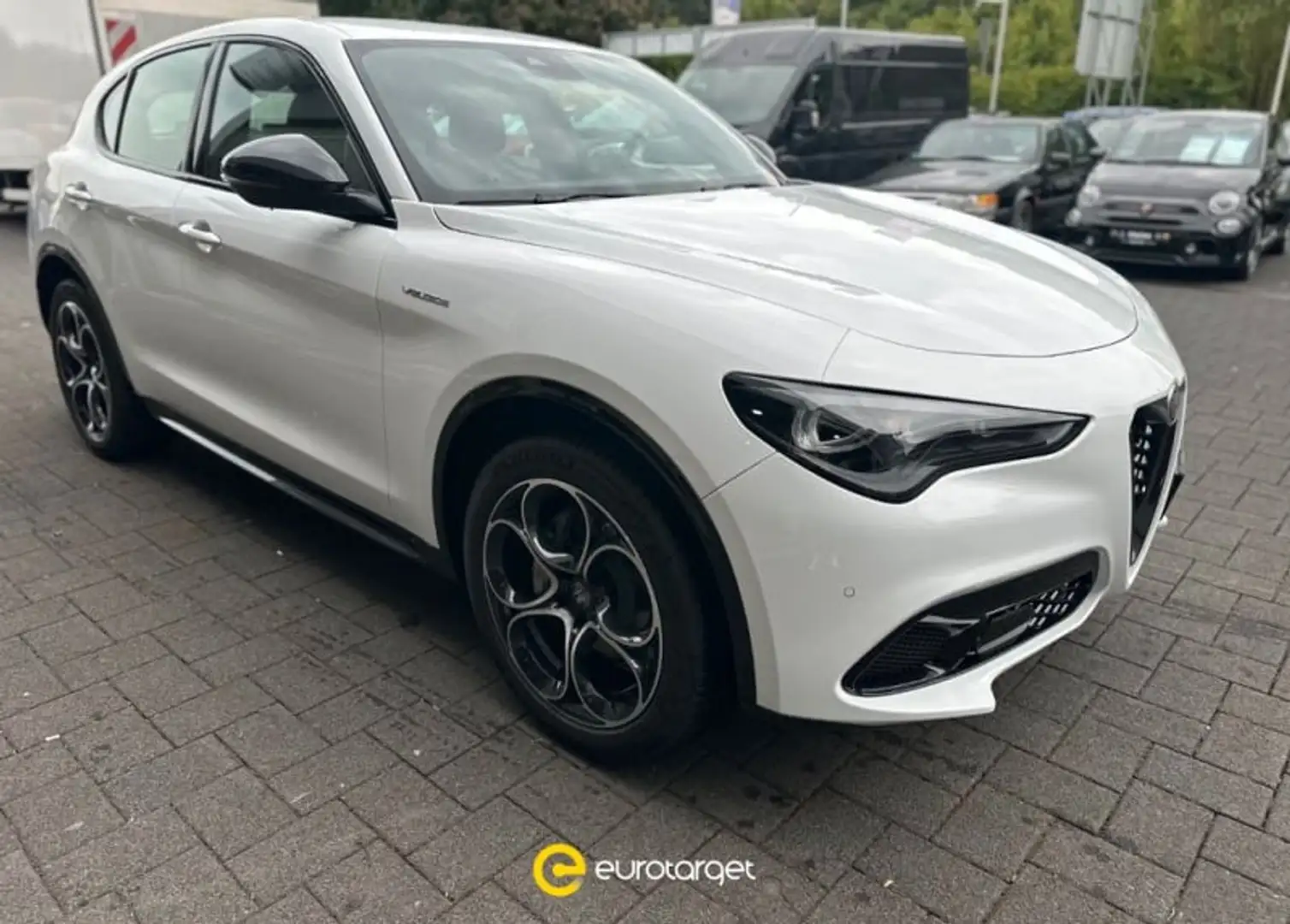 Alfa Romeo Stelvio 2.0 Turbo 280 CV AT8 Q4 Veloce Bianco - 1